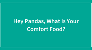 Hey Pandas, What Is Your Comfort Food?