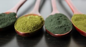 6 Best Greens Powders Of 2023, According To Experts