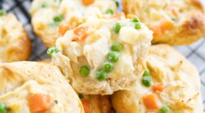 Mini Chicken Pot Pies – Cooking With Karli