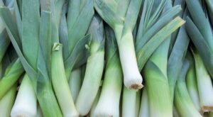What Are Leeks?