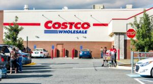 8 Pet Products That Are Cheaper at Costco