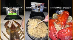 ‘Okay, this is getting out of hand’: College student creates lobster mac and cheese in the strangest way possible