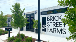 St. Pete’s Brick Street Farms hosts charity dinner for the American Cancer Society this month