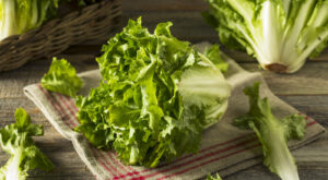 What Is Escarole And How Does It Compare To Kale? – Tasting Table