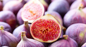 This NJ King of figs helping thousands grow this special fruit