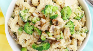 10 Plant-Based Spicy Broccoli Recipes