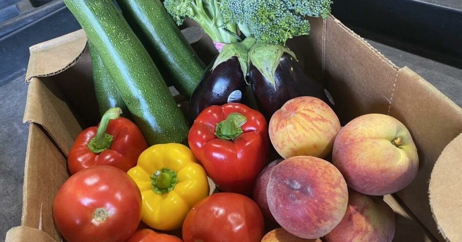 York Region Food Network expands Good Food Box program to Richmond Hill, Stouffville
