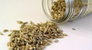 Unveiling the delightful world of Fennel Seeds: Benefits, uses, and more
