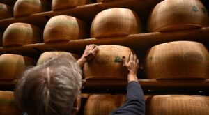 Parmesan cheese makers in Italy are fighting counterfeits by embedding edible microchips in their cheeses