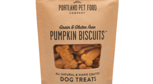 Grain and Gluten Free Pumpkin Biscuits Dog Treats – COOL HUNTING®