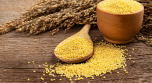 Opinion: Millet – An ancient grain solution for modern global challenges