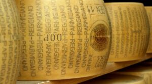 Cheesemakers experiment with microchips to authenticate Parmigiano Reggiano