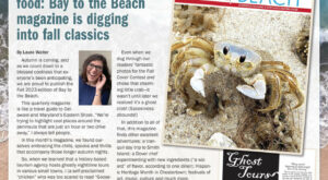 Ghostly moods & comfort food: Bay to the Beach magazine digs into fall classics – Bay to Bay News