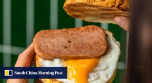 ‘Not just food, it’s feeling’: Sydney’s Hong Kong cafes offer taste of home