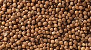 What Is Coriander And How Do You Cook With It? – The Daily Meal
