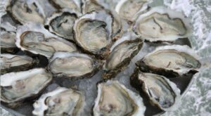 Flesh-Eating Bacteria in Saltwater and Oysters Linked to Several Deaths, Here’s What You Need to Know