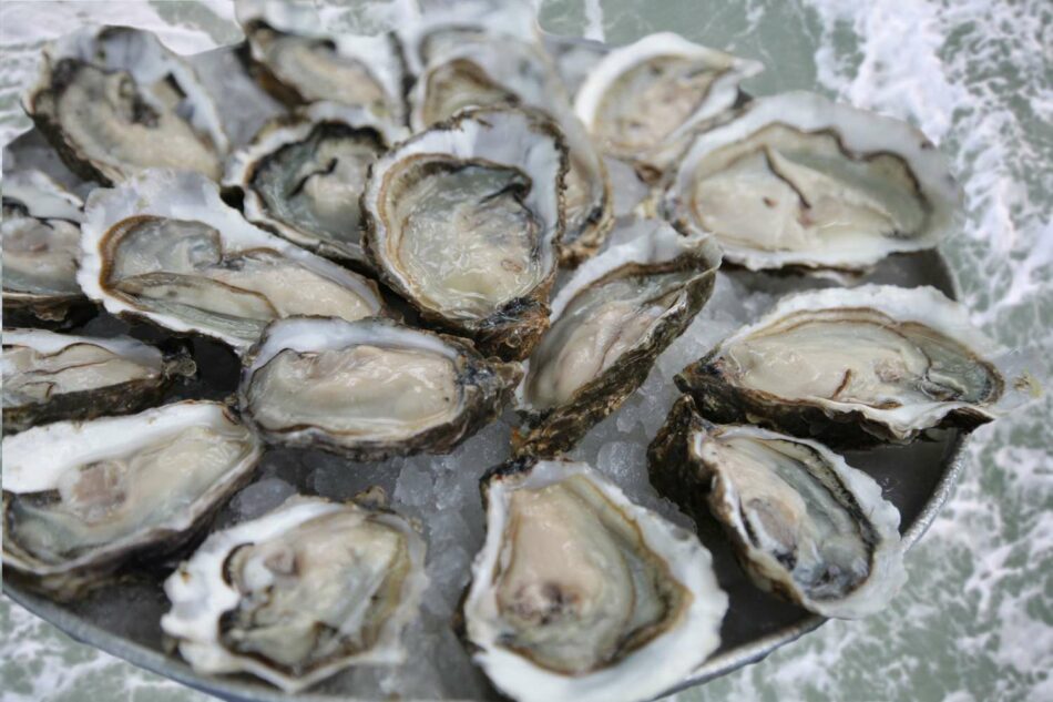 Flesh-Eating Bacteria in Saltwater and Oysters Linked to Several Deaths, Here’s What You Need to Know