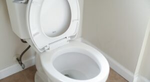 The Pumpkin Spice Product You Can Flush Down The Toilet!