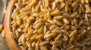 Ancient grains grow beyond niche market