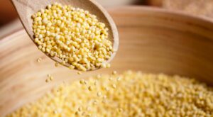 What is Millet?