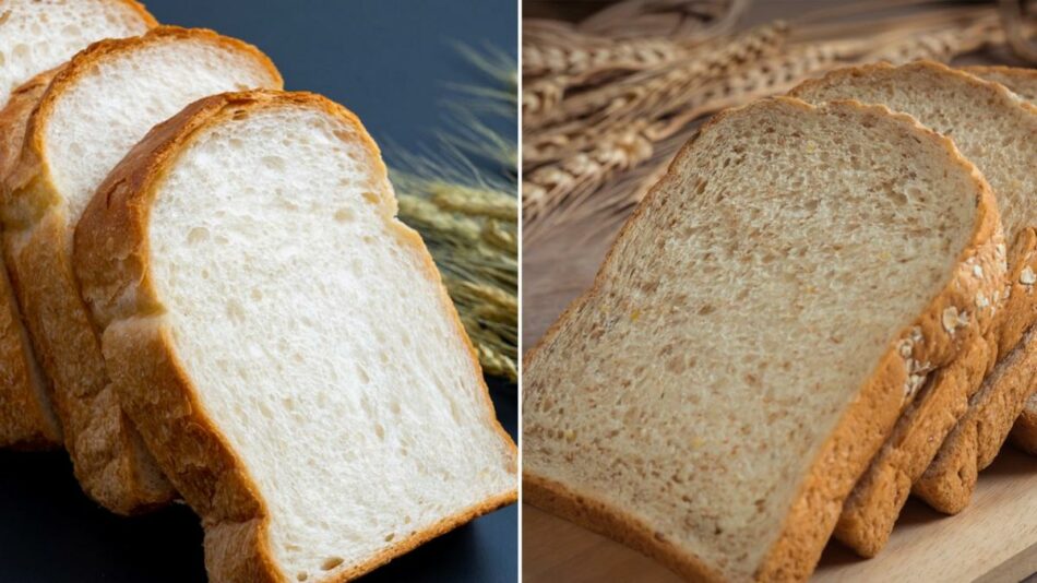 White bread vs. whole wheat bread: Is one ‘better’ for you?