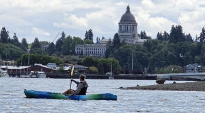 Easy Kayaking in Budd Bay at Olympia’s West Bay Park – WhatcomTalk