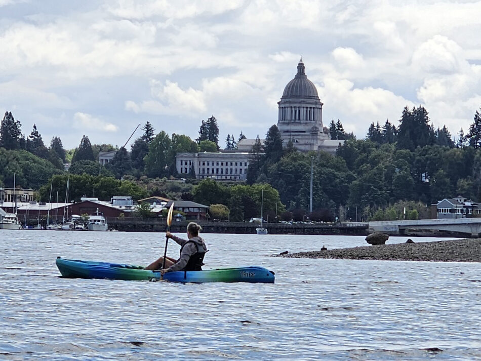 Easy Kayaking in Budd Bay at Olympia’s West Bay Park – WhatcomTalk