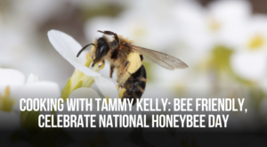 Cooking with Tammy Kelly: Bee Friendly, Celebrate National … – Neuse News