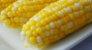 Jamie’s Sweet and Easy Corn on the Cob – Allrecipes