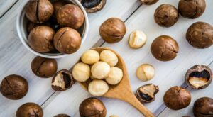 10 Health Benefits of Macadamia Nuts & Easy Ways to Use Them – PINKVILLA