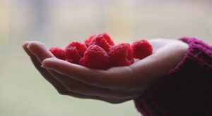 Health Benefits of Raspberries: A Berrylicious Way to Healthy Living – PINKVILLA