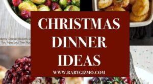 Christmas Dinner Ideas – – Baby Gizmo