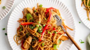 Lo Mein Recipe – The Forked Spoon