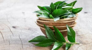 How To Add Curry Leaves To Your Daily Diet: 5 Easy And Healthy … – NDTV Food