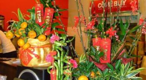 Chinese New Year Decorating Ideas | Chinese new year decorations, Creative pumpkin carving, Chinese new year party – B R Pinterest