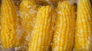 The Delicious Reason You Should Save Your Left Over Corn Water – Daily Meal
