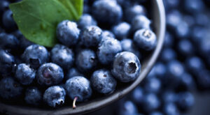 Unexpected Ingredients That Pair Well With Blueberries – Mashed