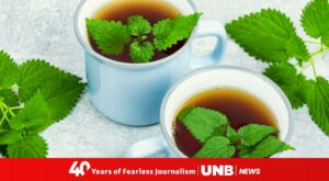 Nettle Leaf Tea: Health Benefits, Side Effects, and Recipes – United News of Bangladesh – UNB