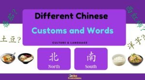 Cultural Contrast: Northern vs. Southern Chinese Cuisine and Vocabulary – DigMandarin