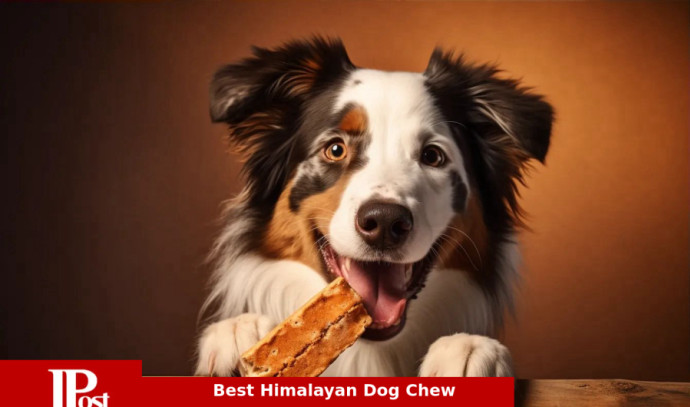 10 Best Himalayan Dog Chews for 2023