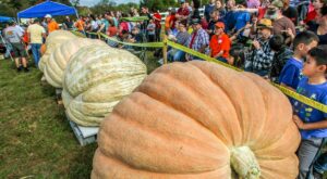 Pumpkin spice and everything nice: Get in the spirit by going to these RI fall festivals