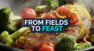 Uncovering the secrets of the Global Food Network