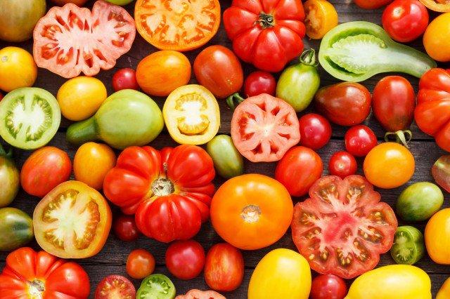 Have tomatoes to spare? We’ve got you covered, with recipes and ideas.