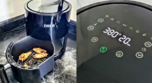 Dreo Aircrisp Pro Air Fryer review: Our favorite small air fryer makes perfect wings and has a dehydrator function