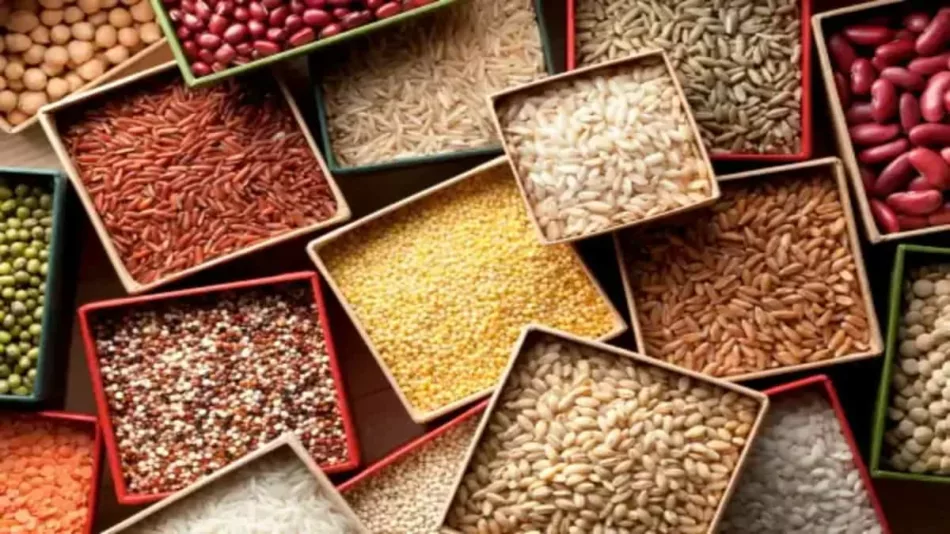 G20 Summit 2023: 10 Millets from Bharat and Their Lesser-Known Health Benefits