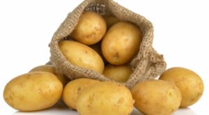 So THAT’s How To Stop Potatoes From Sprouting In Your Cupboard