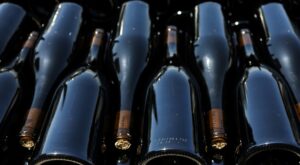 France, EU to spend 200 mn euros on destroying excess wine