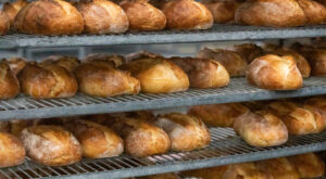 This 40-year old Bay Area bakery makes 190k loaves every week – SFGATE