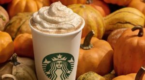 People Are Complaining Starbucks’ PSL Doesn’t Taste Right, So Our Editors Investigated