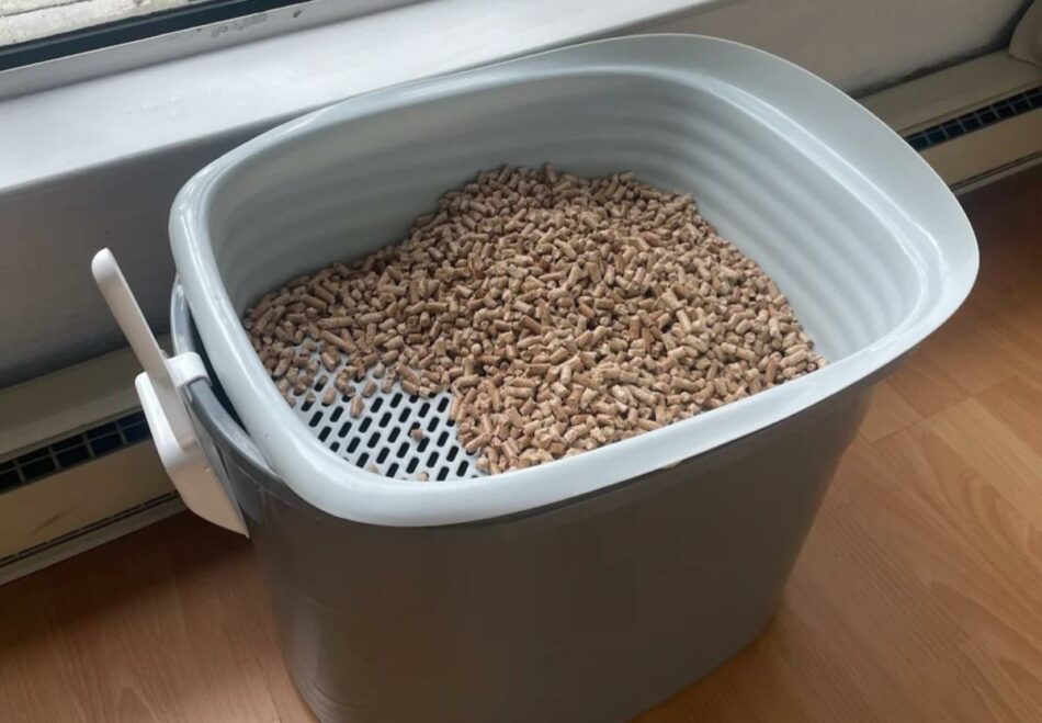 This ‘dirt cheap’ and less smelly alternative to traditional cat litter is getting rave reviews: ‘It’s saved me so much money’